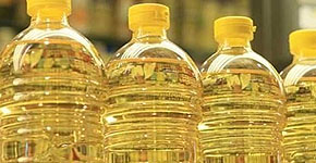 Functional Food Ingredients, Processing Aids and Absorbents
